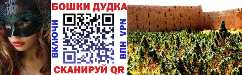 где продают наркотики  Алексеевка  Конопля SATIVA & INDICA 